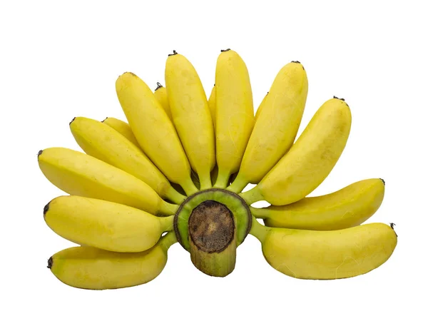 Żółty Banan Białym Tle Odizolowane Zdjęcie Banana Białym Tle — Zdjęcie stockowe