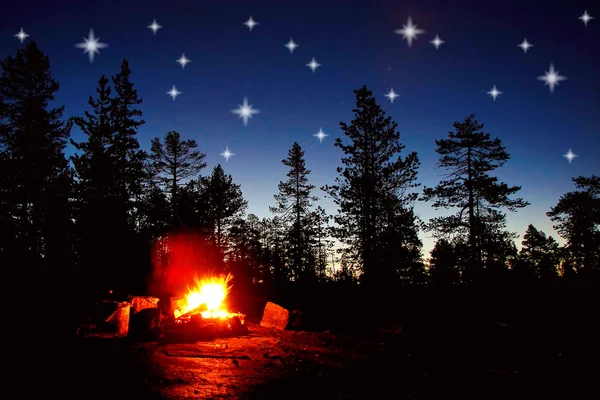 Fuego ardiendo por la noche en un bosque con estrellas en el cielo — Foto de Stock