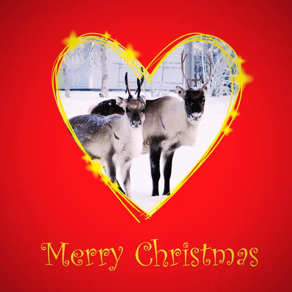Christmas card with raindeer in drawing heart frame — Stock Photo, Image