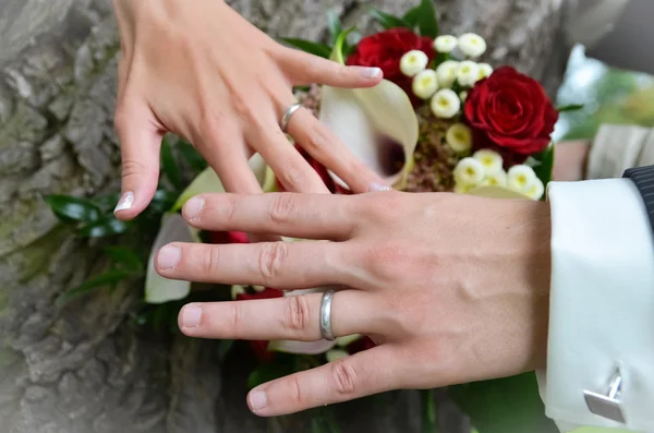 Bride and groom holding hands on tree with wedding rings Stock Image