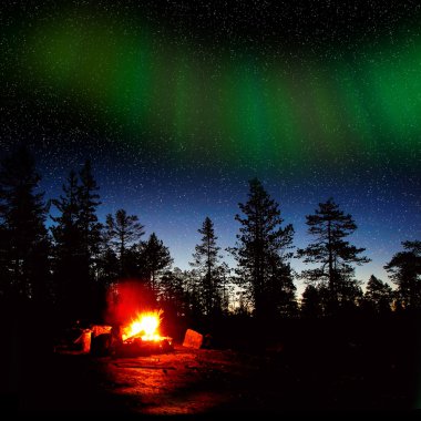 bir ormanda geceleri yanan ateş