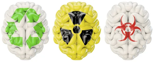 Symbol brains — Stock Photo, Image