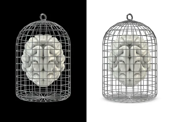 Cage brain — Stock Photo, Image