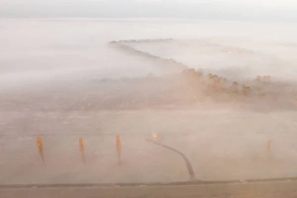 Vacker Utsikt Över Naturen Stockbild