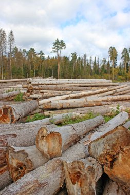 Logs in the logging