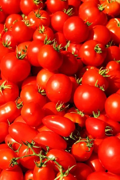 Rode tomaten — Stockfoto