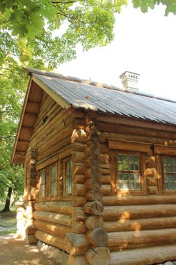 Eski Rus günlük ev