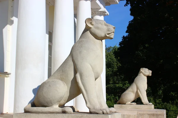 Stenen lionesses — Stockfoto