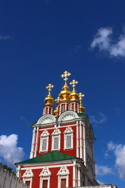 Moskova 'daki Novodevichy Manastırı
