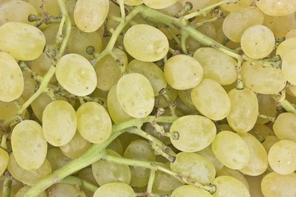 Tekstury jagody winogron — Zdjęcie stockowe