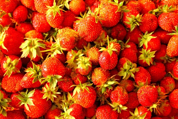 Saftige frische Erdbeeren — Stockfoto
