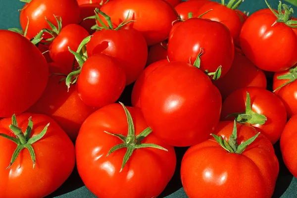 Rode tomaten — Stockfoto