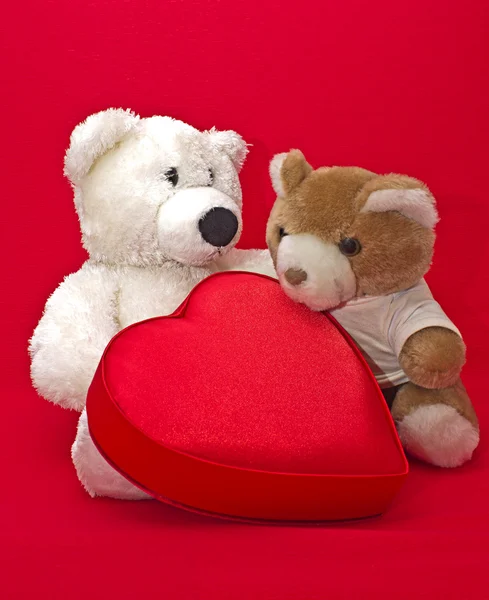 Two teddy bears with gift box in heart shape — Stock Photo, Image