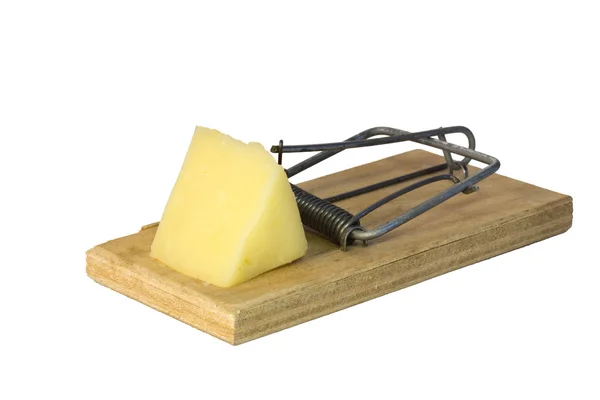 ネズミ捕りをチーズの部分を — ストック写真