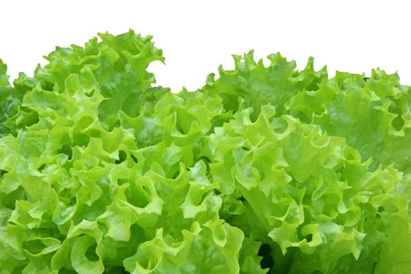 Salad — Stock Photo, Image