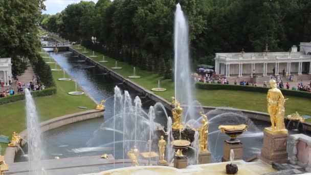 Grand trapsgewijs fonteinen in peterhof — Stockvideo