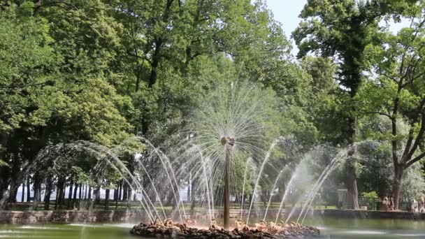 旋转喷泉"太阳"在彼得夏宫 — 图库视频影像