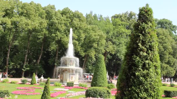 Roman fountain in Peterhof — Stock Video