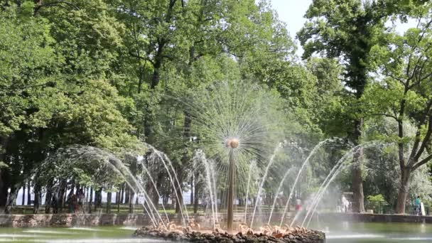 Обертовий фонтан "The Sun" в місті Peterhof — стокове відео