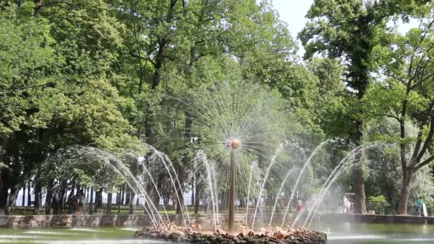 Fuente giratoria "El Sol" en Peterhof — Vídeos de Stock