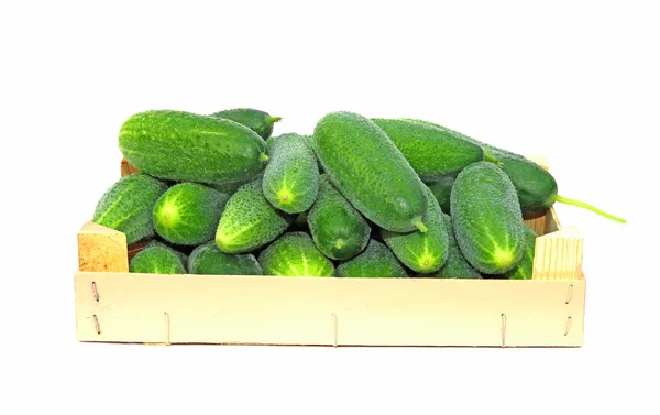 Fresh cucumbers in a wooden box — Stock Photo, Image