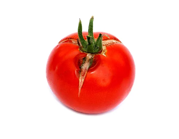 Rotten tomatoes isolated — Stock Photo, Image