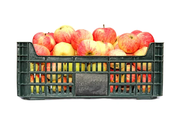 Apples in a plastic box isolated — Stock Photo, Image