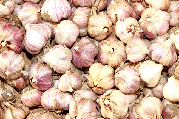 Sfondi di molti aglio viola — Foto Stock