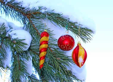 Bir dalda Noel ağacı süslemesi