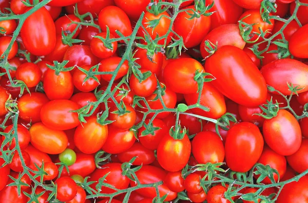 Κόκκινες ώριμες ντομάτες — Φωτογραφία Αρχείου