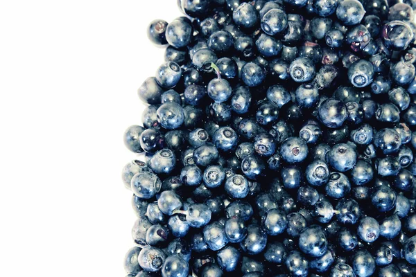 Reife frische Blaubeeren isoliert — Stockfoto