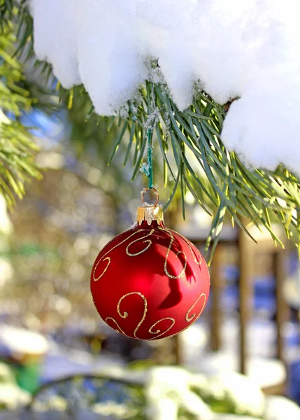 Jul röda bollen på fir-träd gren — Stockfoto