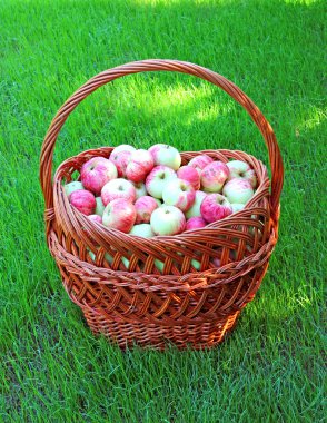 büyük bir sepet pembe elma