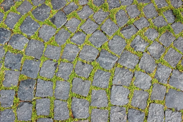 Achtergrond van graniet grind en groen gras maakt zijn manier TU. — Stockfoto