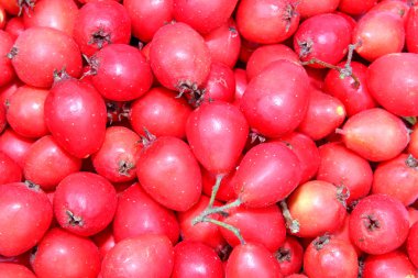 arka plan kırmızı meyveler alıç nedir