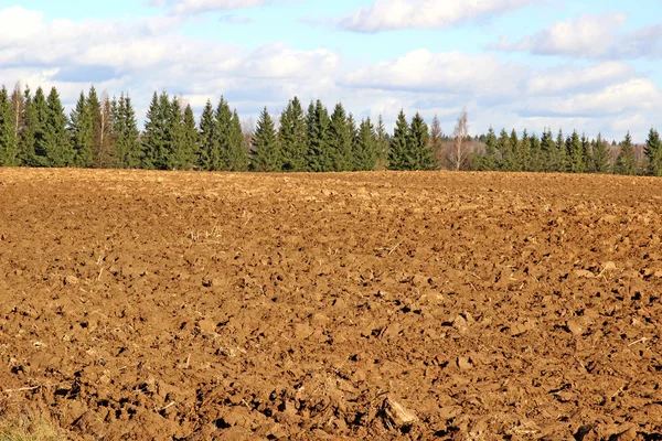 Plowed field prepared for sowing winter crops — Stock Photo, Image