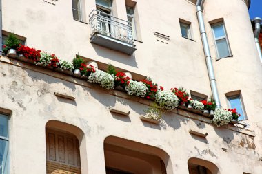 balkon binanın üzerinde kırmızı ve beyaz çiçekler