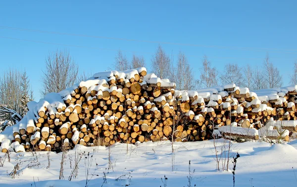 Skörda timmer loggar i en skog i Ryssland — Stockfoto