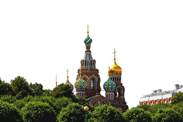 Cathedral of the Resurrection on Spilled Blood (Church of Our Sa — Stock Photo, Image