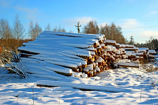 Зима, заготівлі деревини — стокове фото