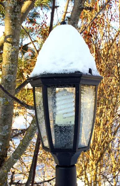Садовый фонарь зимой — стоковое фото