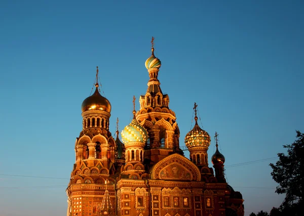 Kathedrale der Auferstehung auf verschüttetem Blut (Kirche unserer — Stockfoto