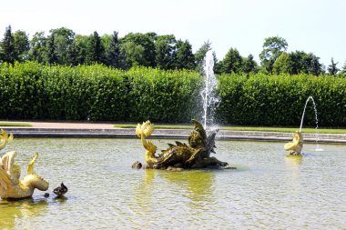 peterhof heykel formunda pe bir deniz ejderha Çeşmesi
