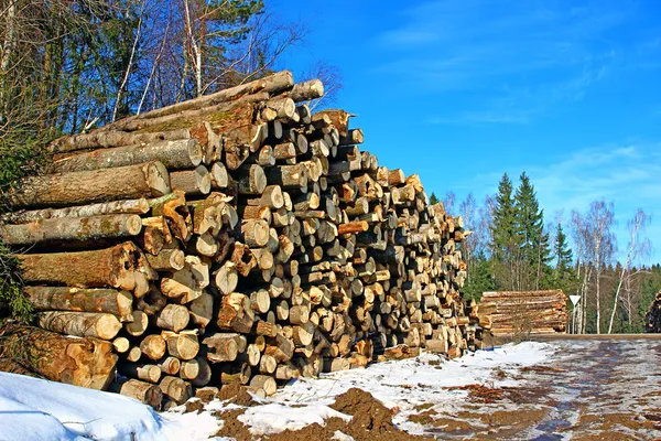 Logboekregistratie — Stockfoto