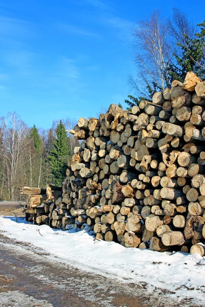 Logs in the logging in Russia at winter — Stock Photo, Image