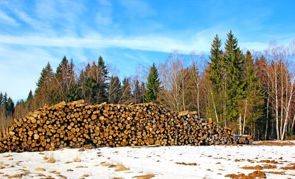 Logging — Stock Photo, Image