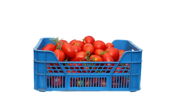 Tomates rojos en una caja azul de plástico aislado — Foto de Stock