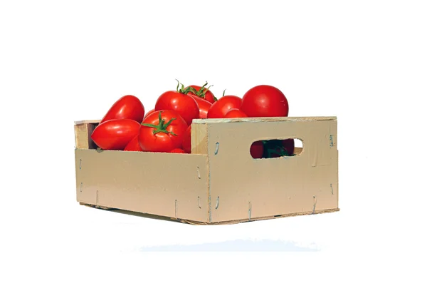 Tomates rojos en una caja de madera aislada — Foto de Stock