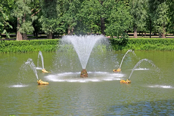 Fontein n peterhof in Sint-petersburg, Rusland — Stockfoto