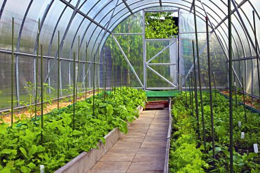 Vegetable greenhouses made of transparent polycarbonate  clipart